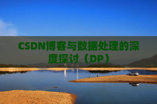 CSDN博客与数据处理的深度探讨（DP）